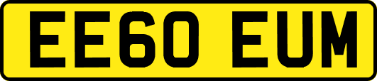EE60EUM
