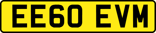 EE60EVM