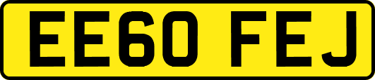 EE60FEJ