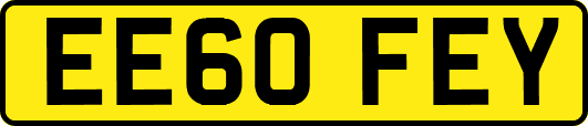 EE60FEY