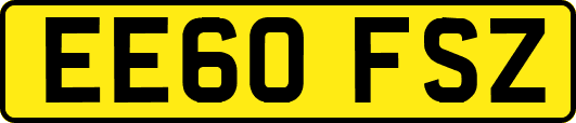 EE60FSZ