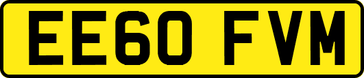 EE60FVM