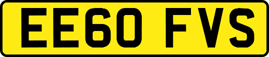 EE60FVS