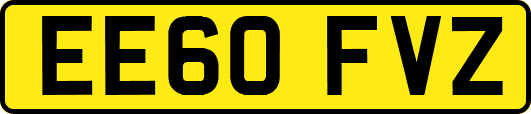 EE60FVZ