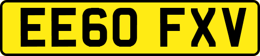 EE60FXV
