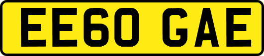 EE60GAE