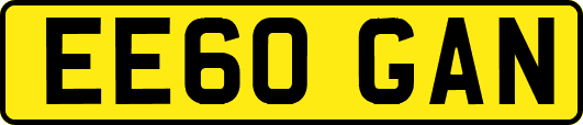 EE60GAN