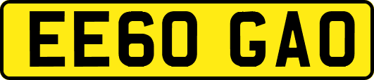 EE60GAO