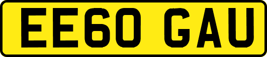 EE60GAU