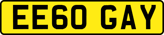 EE60GAY