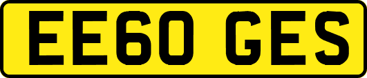 EE60GES
