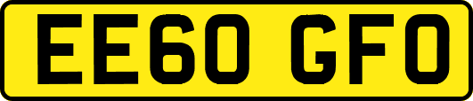 EE60GFO