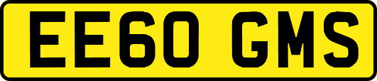 EE60GMS