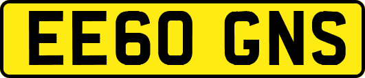 EE60GNS