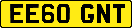 EE60GNT