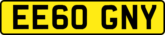 EE60GNY