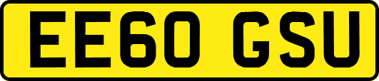EE60GSU