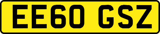 EE60GSZ
