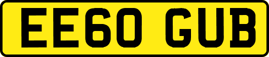 EE60GUB