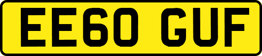EE60GUF