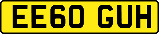 EE60GUH