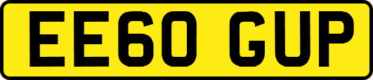 EE60GUP