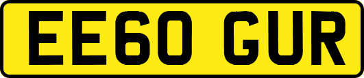 EE60GUR