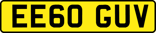 EE60GUV