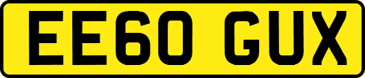 EE60GUX