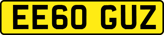 EE60GUZ