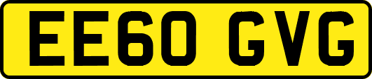 EE60GVG