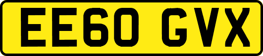 EE60GVX