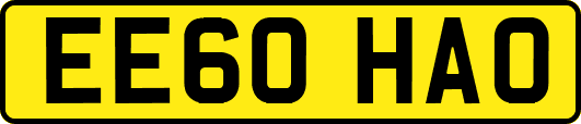EE60HAO
