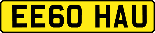 EE60HAU