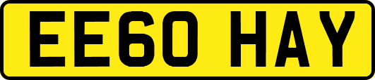 EE60HAY