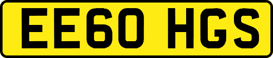 EE60HGS