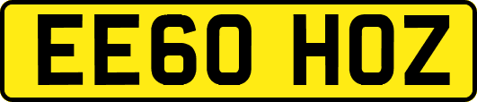 EE60HOZ