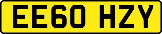 EE60HZY