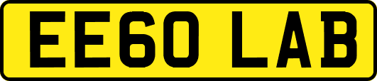 EE60LAB