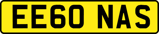 EE60NAS
