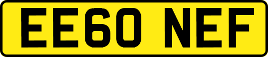 EE60NEF