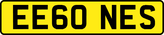 EE60NES
