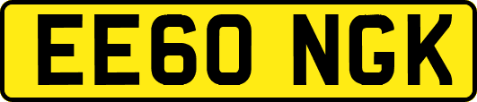 EE60NGK