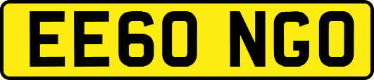 EE60NGO