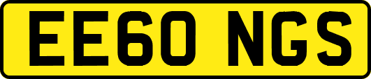EE60NGS