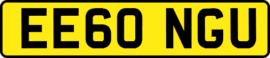 EE60NGU
