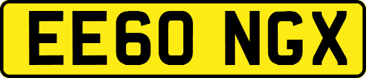 EE60NGX