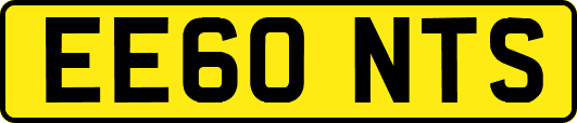 EE60NTS