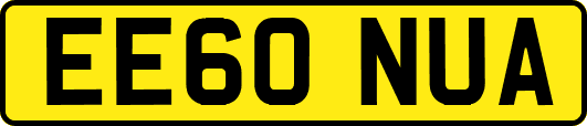 EE60NUA