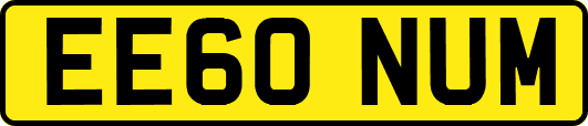 EE60NUM